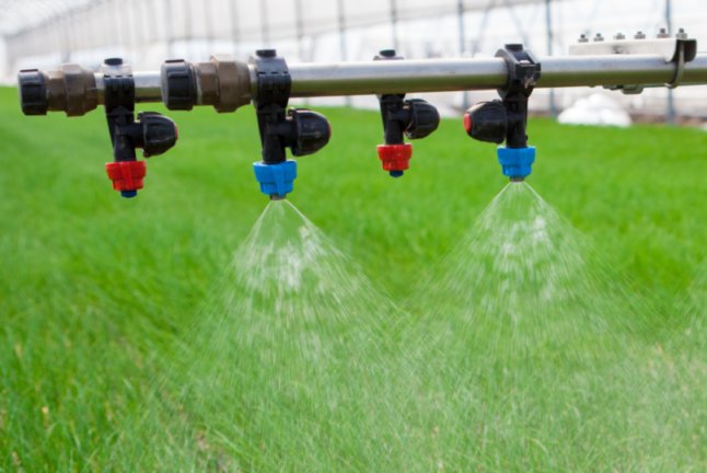 Photo of an automated water irrigation system in a greenhouse