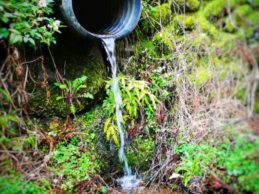 Photo of clean water discharged from an agricultural facility