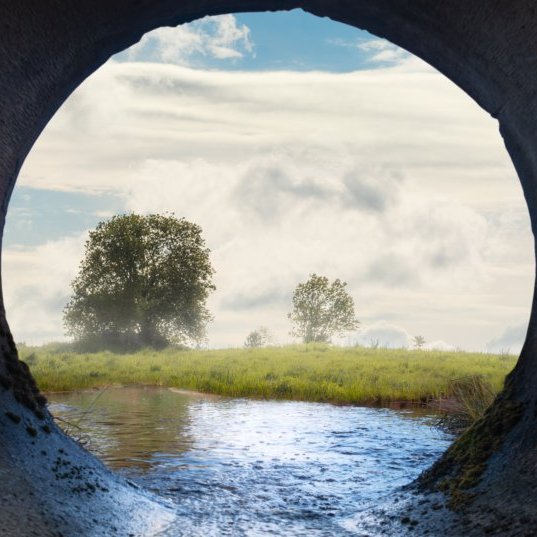 Photo of a tree and river from a safe water discharge tunnel
