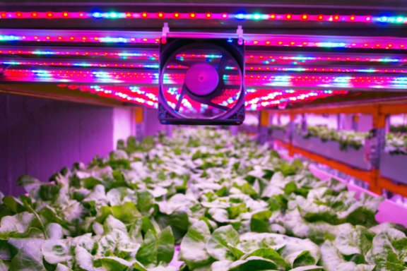 Photo of a vertical farm with internal lighting and closed loop water systems