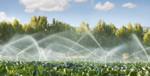 A photo of agricultural irrigation