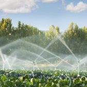 A photo of agricultural irrigation